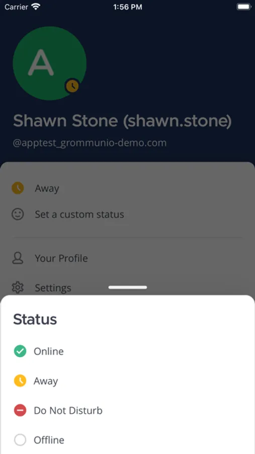Screenshot 3