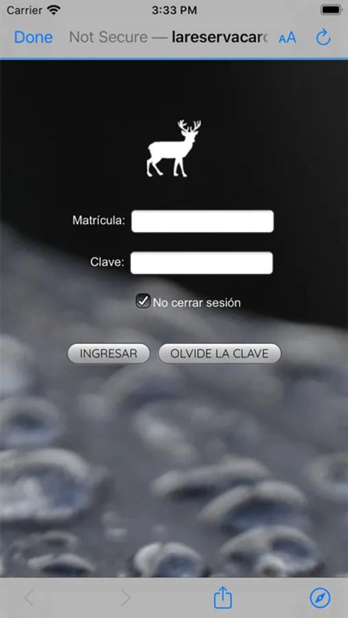 Screenshot 9