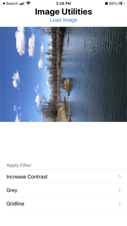 Screenshot 1