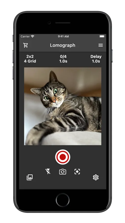 Screenshot 2