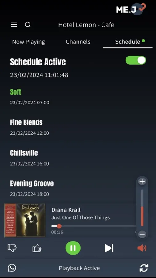 Screenshot 8