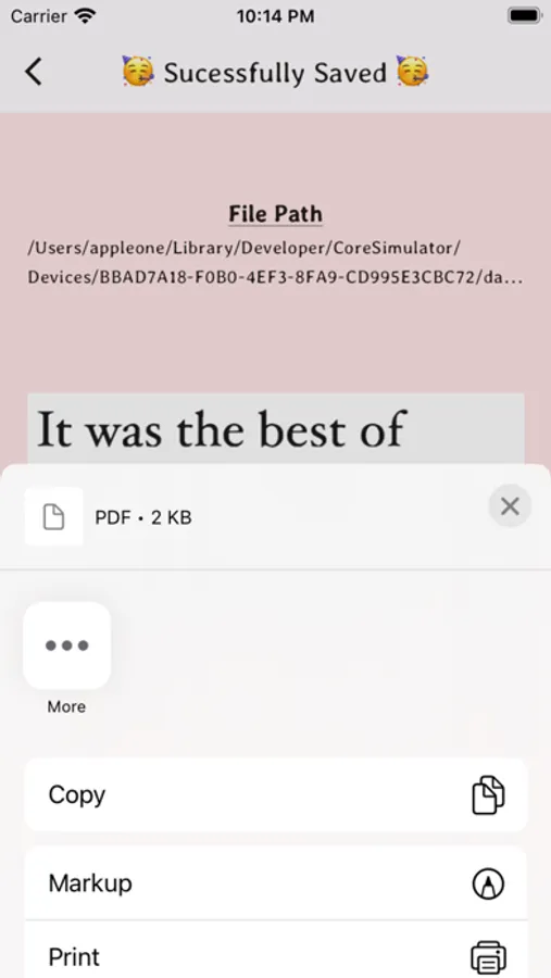 Screenshot 7
