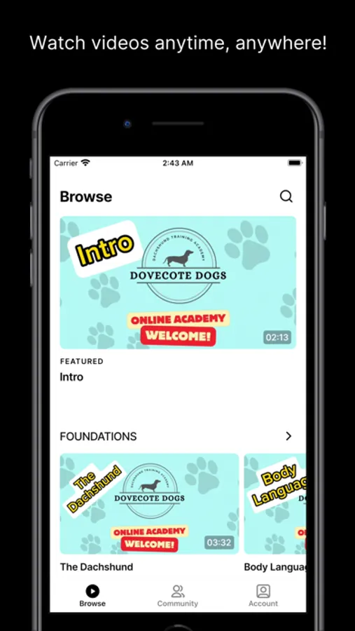Screenshot 1