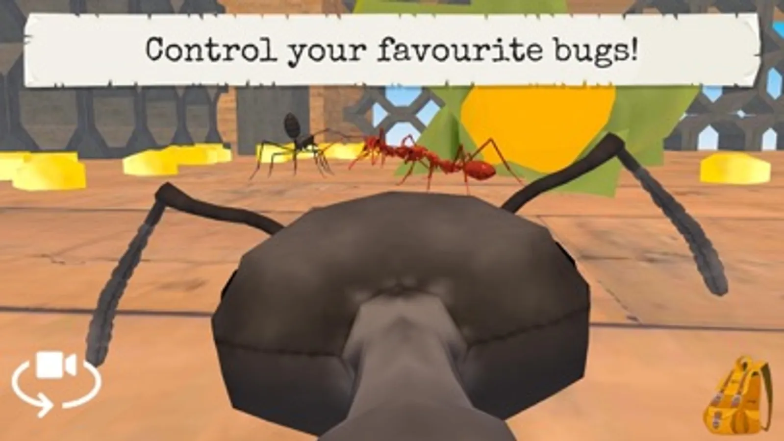 Screenshot 7