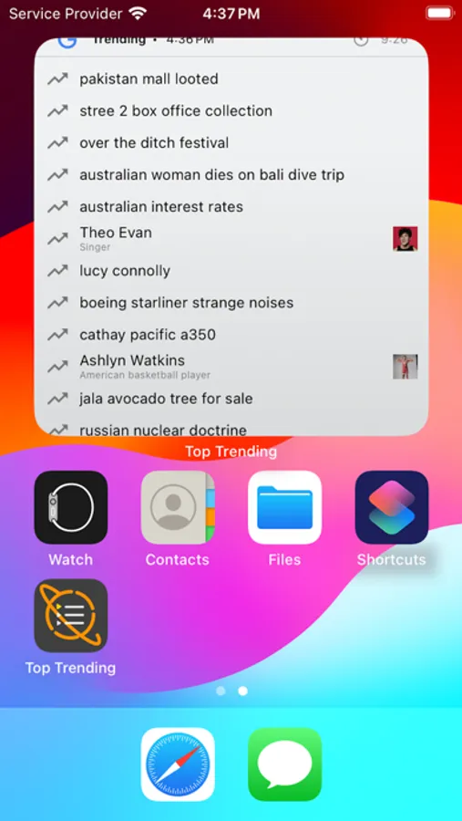 Screenshot 1