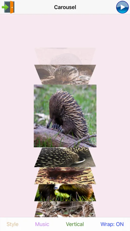 Screenshot 9