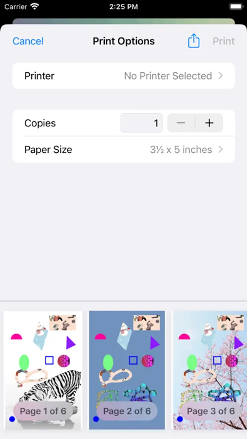 Screenshot 5